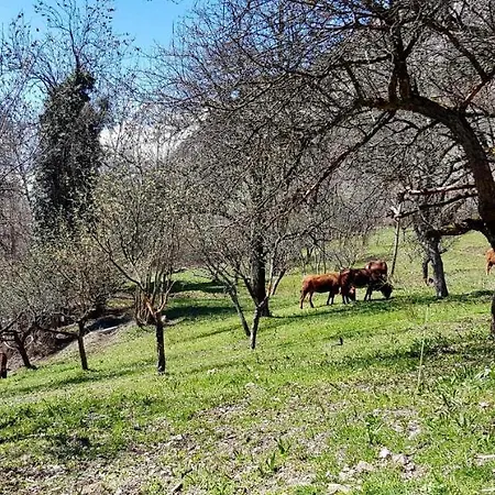 Holiday home La Mejon De L'incoura *